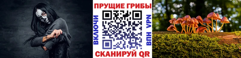 Галлюциногенные грибы Magic Shrooms  это официальный сайт  Опочка 
